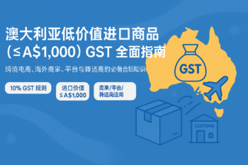 如何对进口服务、数字产品和低价值进口商品收取 GST