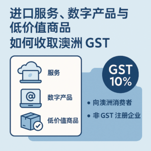 进口服务和数字产品的 GST