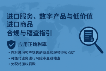 如何对进口服务、数字产品和低价值进口商品收取 GST